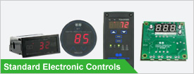 Electronic Manufacturing Services